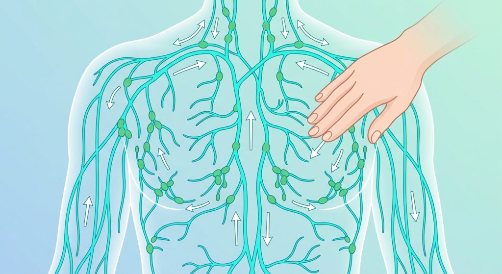 lymphatic drainage
